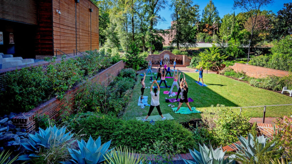 A group of people practicing yoga in an outdoor garden on a sunny day